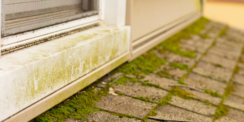 Roof Cleaning: Do You Really Need It?