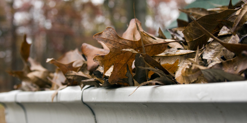 Your Guide to Gutter Cleaning